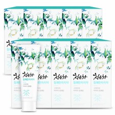 1EA x 2080 ChungunTea Pepper Mint Toothpaste Dental Clinic Korean Oral Care 120g