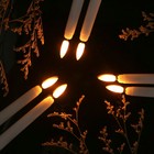 Bild 18 von 31