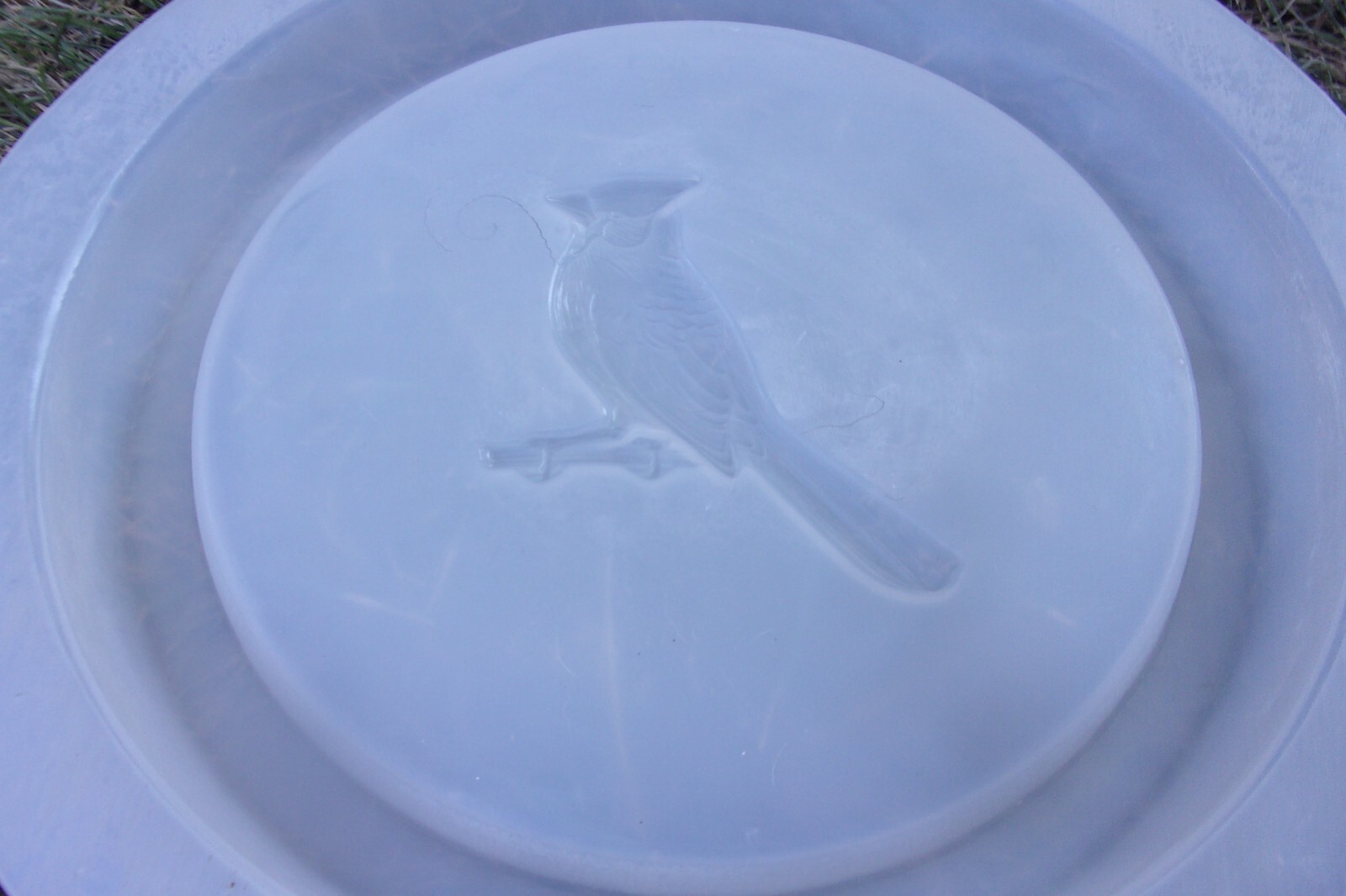 Cardinal birdbath mold concrete plaster mould 12" x 1.5" thick Poly