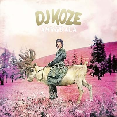 DJ KOZE Amygdala Music CDs New