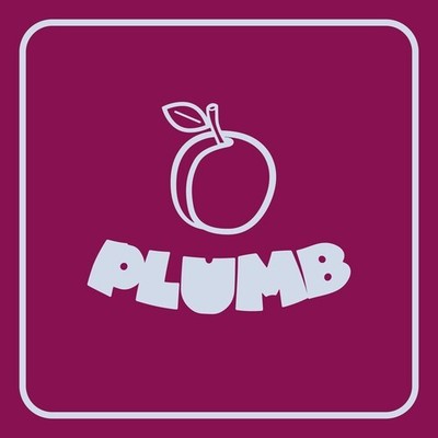 Ray Angry - Plumb [New 7'' Vinyl]