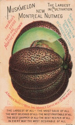 Muskmelon New Montreal Nutmeg Fruit Promoting Victorian Litho Trade Card
