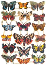 VICTORIAN STYLE DIE CUT PAPER SCRAPS MIXED BUTTERFLIES ef7221 GERMANY