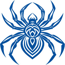 30 Custom Blue Exotic Spider Personalized Address Labels