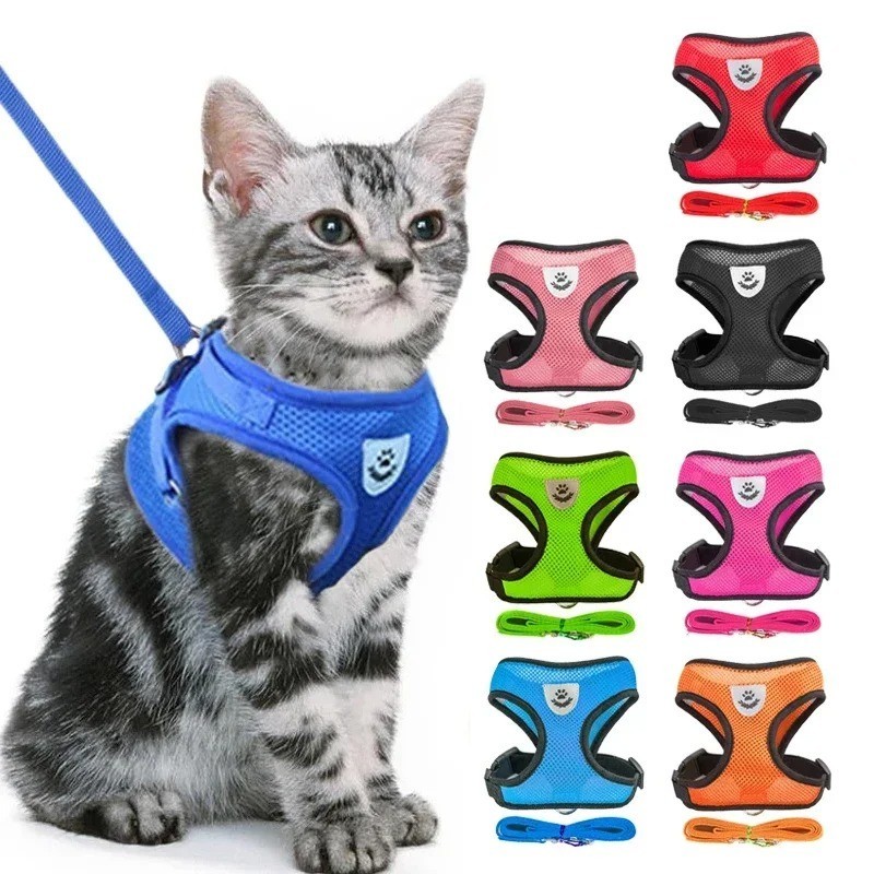 Pettorina e guinzaglio regolabile per gatti e cani