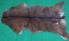 GOAT Western taxidermy Hide Rug Natural Pattern Fur Goat Hide Rode SA-3904 — photo 1