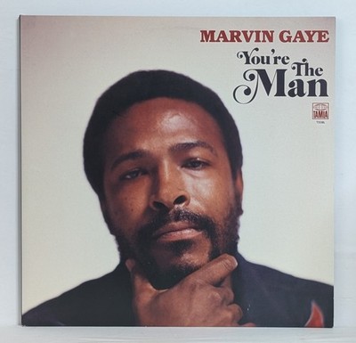 YOU'RE THE MAN Marvin Gaye Gaye 2019 2-LP Vinyl Set Record MPG 1972 Soul R&B EX