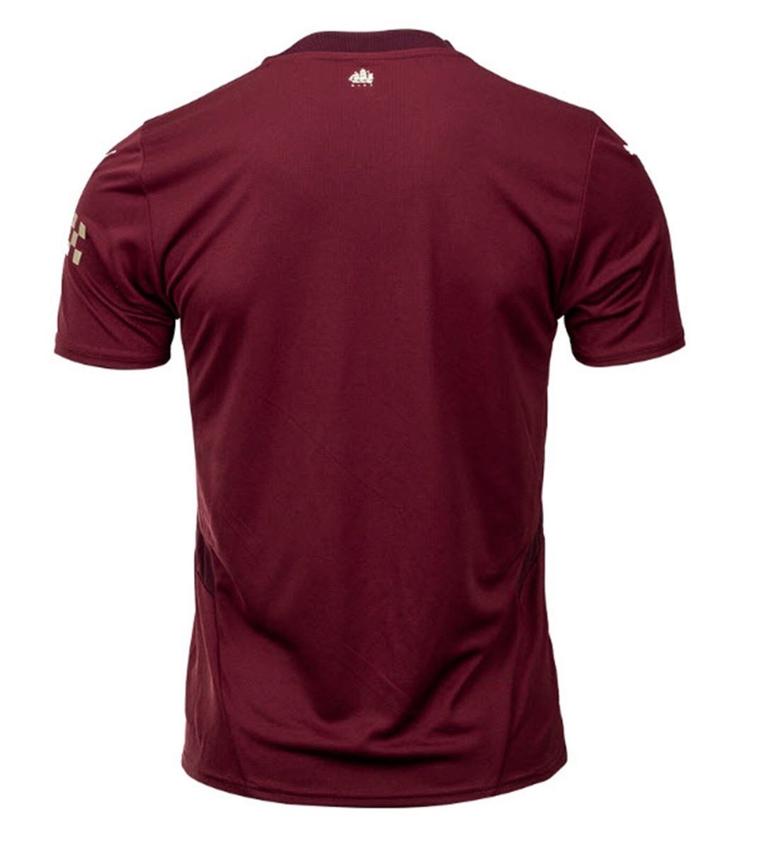 Puma Men Manchester City 3RD T-Shirt Soccer Dark-Jasper Tee MCFC