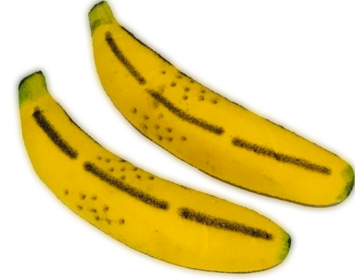 MULTIPLYING SPONGE BANANAS 2 Foam Magic Trick Clown Fruit Funny