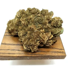 Large Desert Rose Selenite Crystal Stone Cluster Mounted