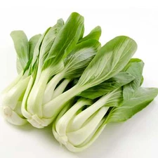 Pak Choi - Seeds - Organic - Non Gmo - Heirloom Seeds – Vegetable Seeds