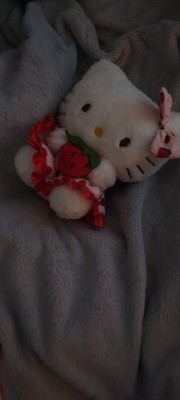 Hello Kitty Sanrio Plush Strawberry Dress Pink Stuffed Toy