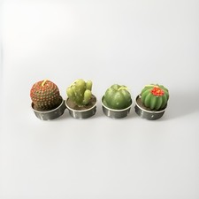 Image of Succulent Green Cactus Tea Light Candles - 4 Pack - Brand New with Open Box