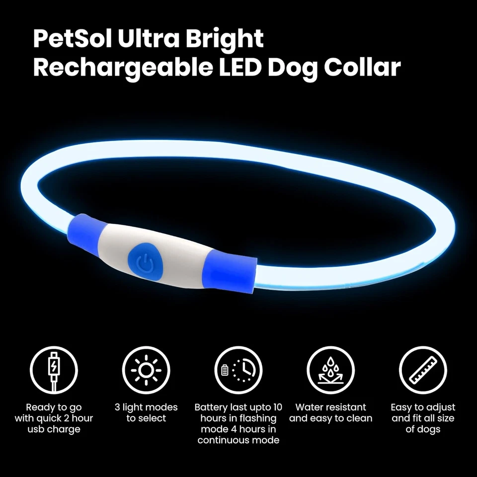 Collare per Cani a LED Blu - Collare Di Sicurezza per Animali Domestici Con Luce - Immagine 2 di 4