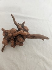 Natural Driftwood Burlwood Gnarled Wood One Of A Kind