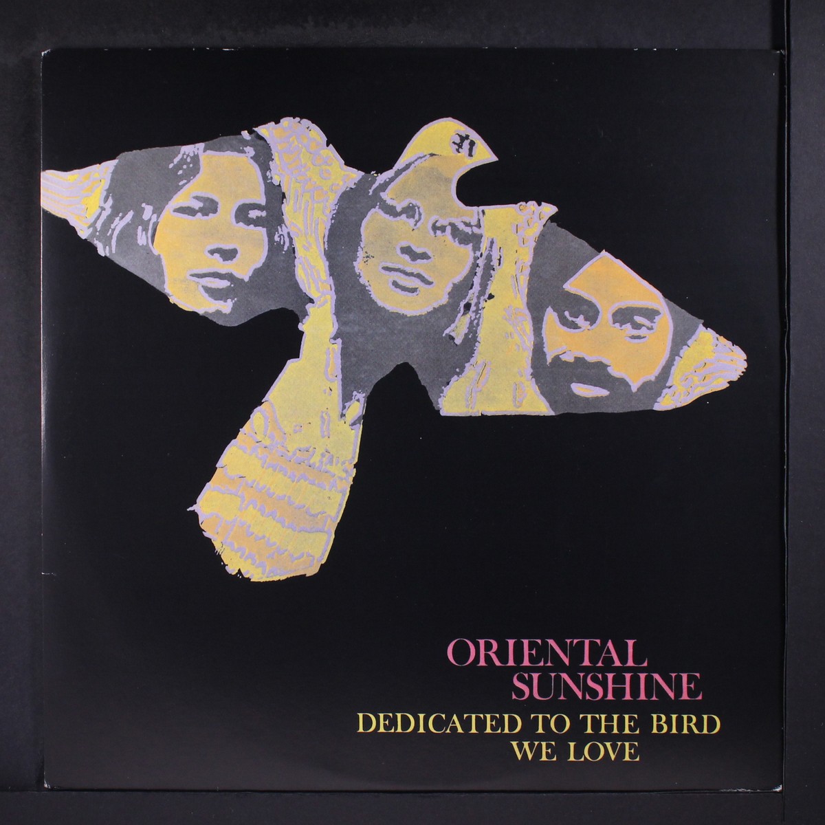 ORIENTAL SUNSHINE: dedicated to the bird we love THORNS BACKTRACK