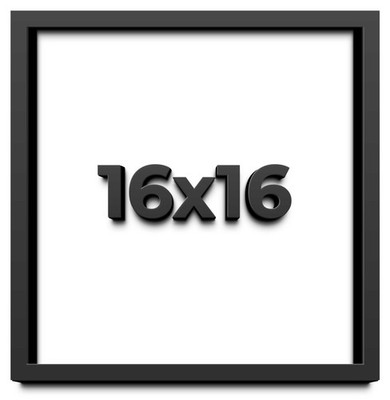 16x16 Shadowbox Gallery Wood Frames - Black DEEP Shadow Box Frame with a Display