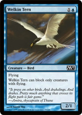 Welkin Tern NM, English Magic 2013 (M13)