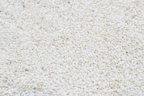 Minuscules trous naturels coquillages de riz blanc non percés - 001NDW - Photo 1/1