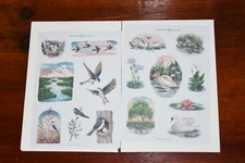 Archer & Olive Lot 2 Sticker Sheets Spring: Swan Pond and Swallows