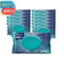 Flushable Wipes, 480 Total Wipes 12 Packs of 40 