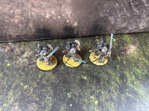 Warhammer 40k Black Templars Bladeguard Veterans Painted 3x (#574) - Picture 10 of 10