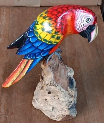 20cm Parrot on Driftwood
