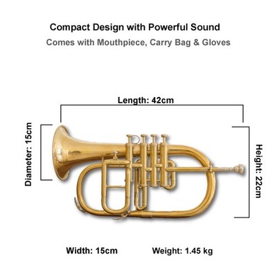 Flugel Horn Brass Bb Flat 4 Valve With Hard Case Mouthpiece