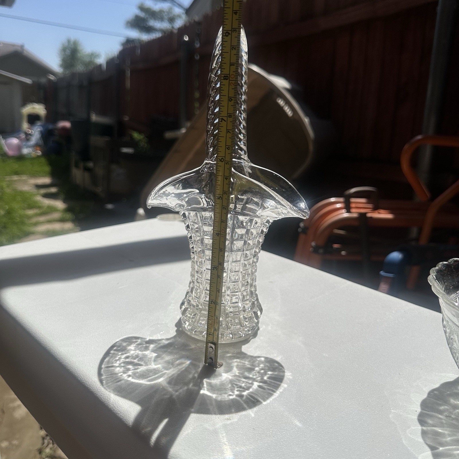 Picture 5 of 5