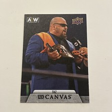 2021 Upper Deck AEW Taz Canvas Insert C-13
