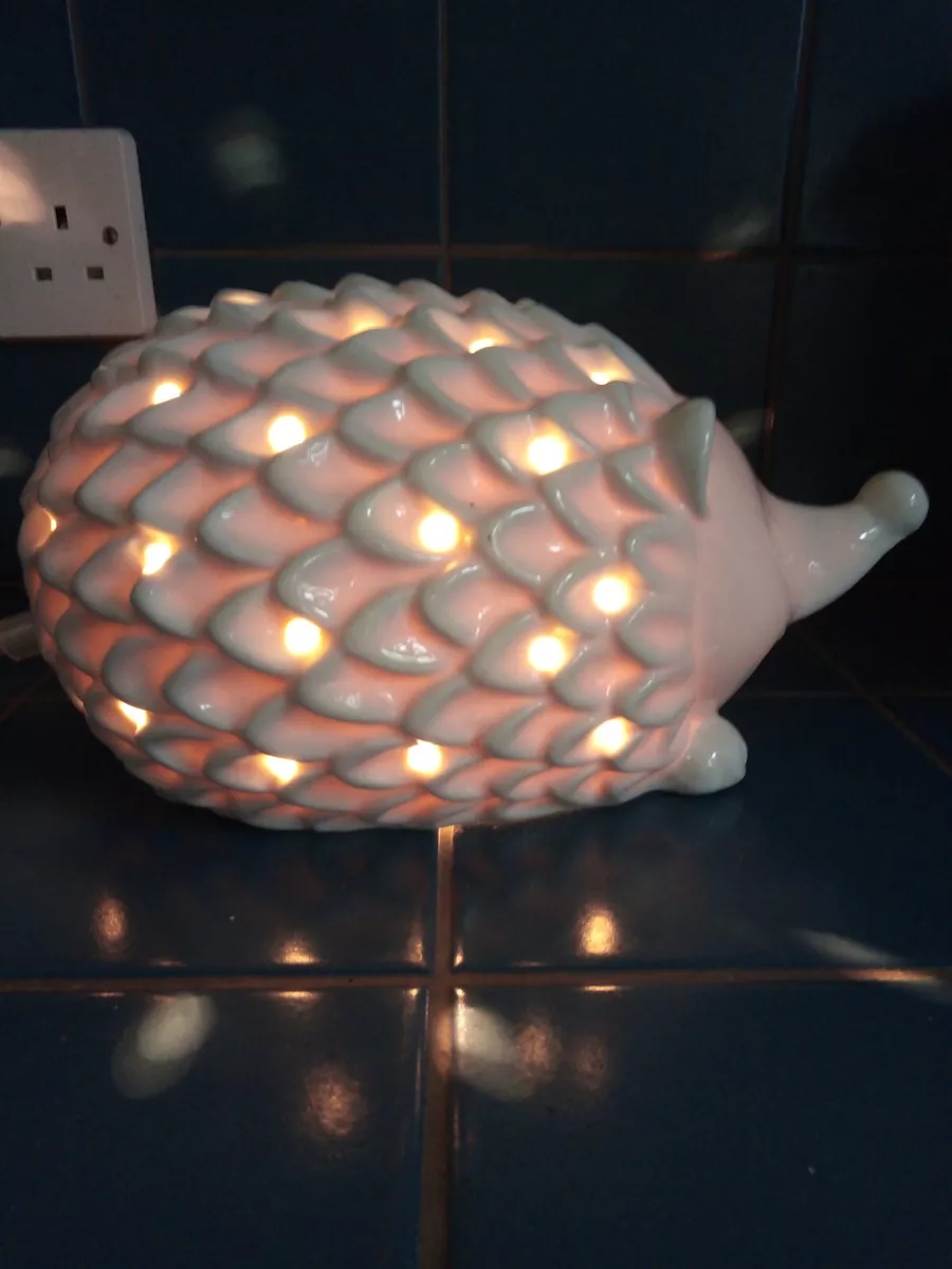 Hedgehog lamp top the range