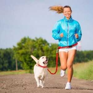 waist running leash