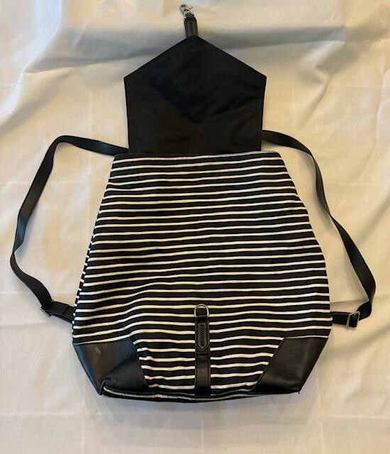 Cute & Versatile Bag or Back Pack Striped Stella and Dot Fun  display picture 2