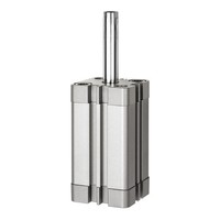 Riegler Kompaktzyl. Einfachw. IG AusgefüR Ã˜20 Hub20 M5 ISO21287