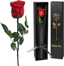 Eternal Rose Valentine's Day Gift for Women, Real Rose with Stem Gift for Women