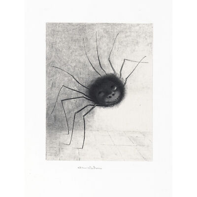 Odilon Redon Das Spinnengesicht Merkmale Zeichnung riesiges Wandbild Poster Druck