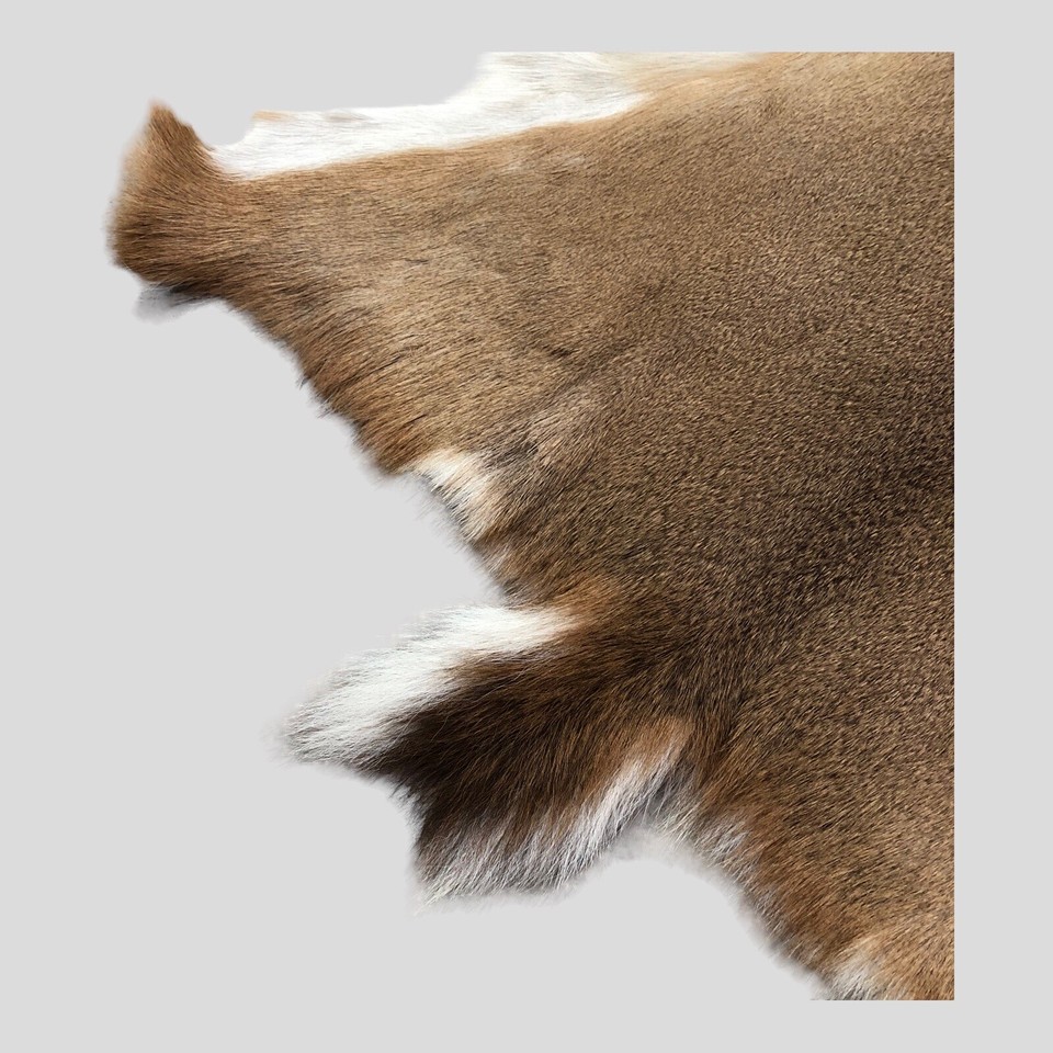 Whitetail Deer Skin Pelt Hide Rug 53”x35” Rustic Cabin Virginia Wall Hanging eBay