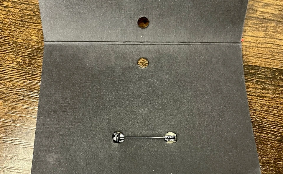 Porcelana Artesanal Northern Lights Venture Oso Polar Chaqueta Solapa Pin Foto 3 de 4