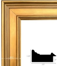 Frame Specially Designed for ARTFUL PictureFrames Style #295G Size: 16X20