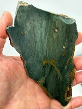 Gary Green Caldera Freedom Jasper Slab Cabbing Lapidary Combo Ship Avail