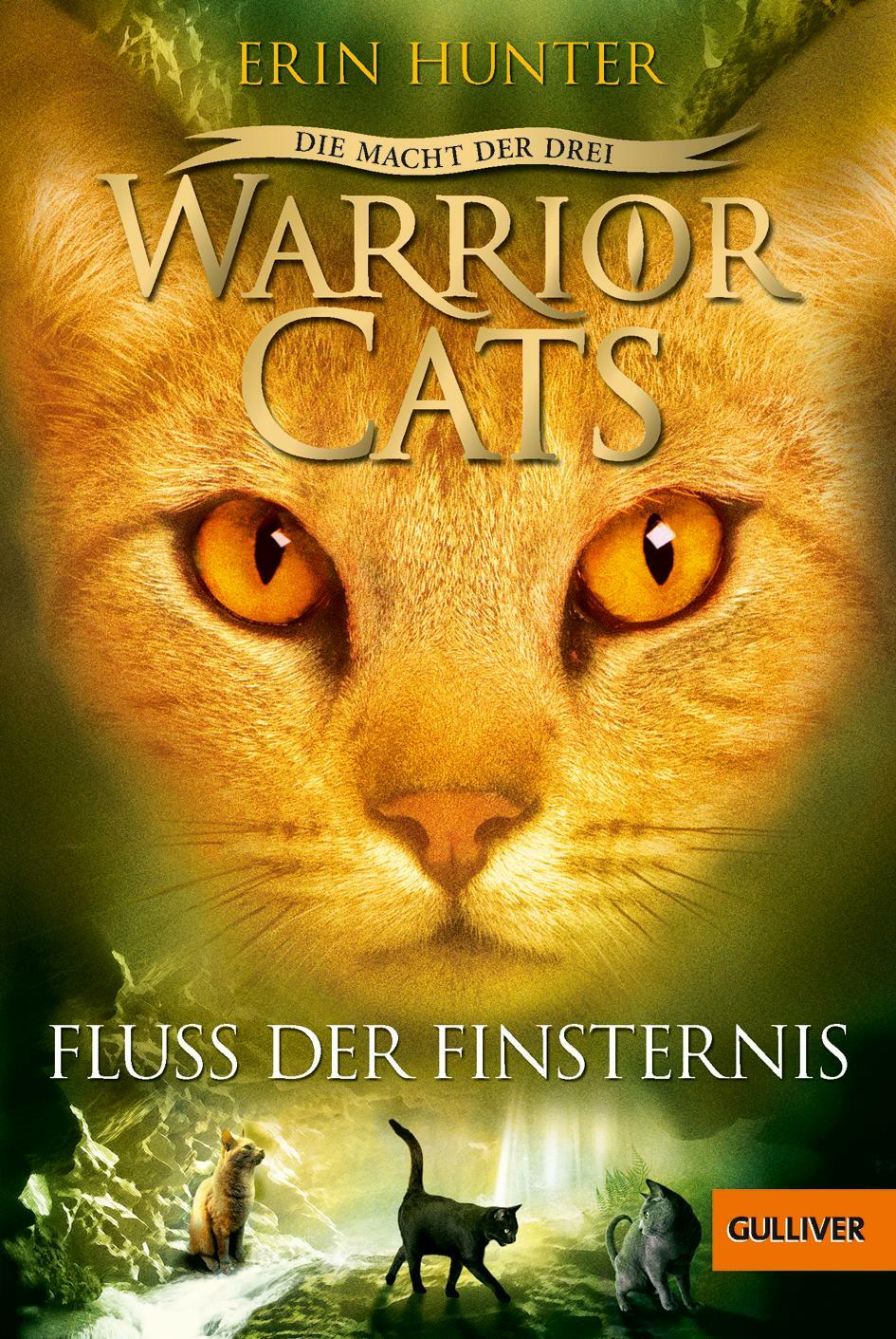 Warrior Cats Staffel 3/02. Die Macht Der Drei. Fluss Der Finsternis |