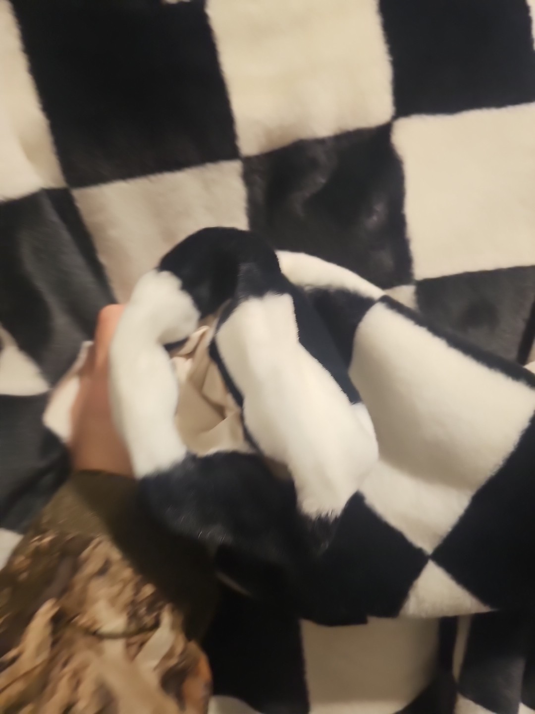 Checkered Jacket - image 5