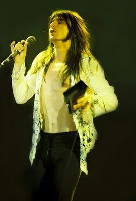 11x17 Journey Steve Perry Poster Steve Live Performance | eBay
