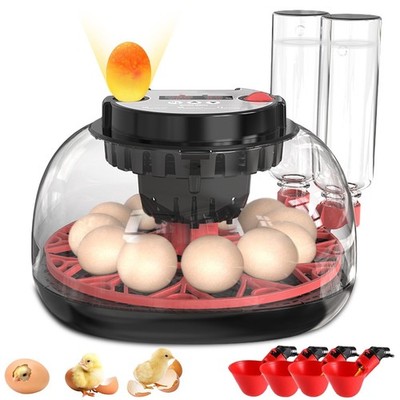 EGG INCUBATOR 12 EGGS AUTO TURNER BUILT IN CANDLER HUMIDITY DISPLAY REPTILE