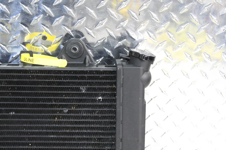 Triumph Trophy 900 1999 motor radiador motor enfriador radiador de refrigeración Foto 3 de 4