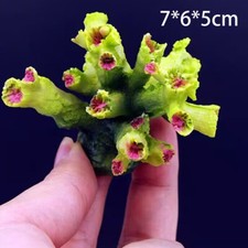 Artificial Coral Reef Aquarium Resin Fish Tank Landscaping Ornament Decoration