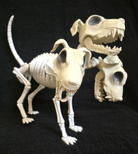 Skeleton Cerberus 3 Headed Dog Halloween Decoration Custom Made OOAK 20"L x 12"H