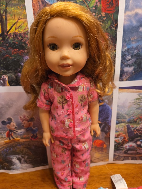 American Girl Willa Wellie Wishers Doll/Sold As-Is