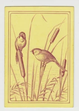 Playing Swap Cards  GENUINE 1 only single VINTAGE ENGLISH SQUARE CORNER BIRDS #2