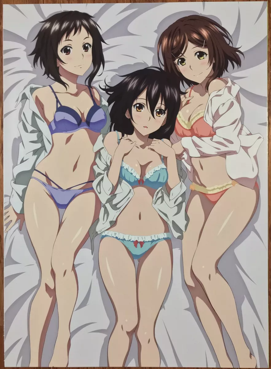 Double Sided Anime Poster: Is the Order a Rabbit Chino, Strike the Blood